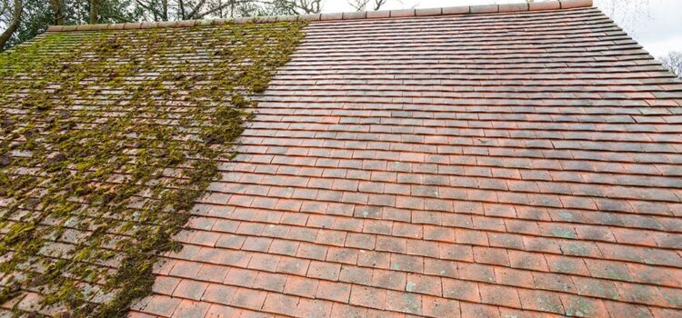 Roof Moss Removal Cost Pontypool