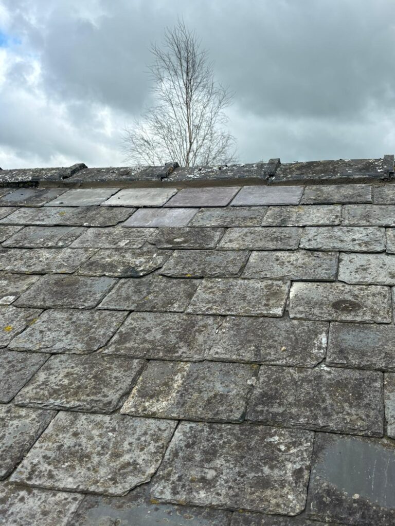 roof repairs Abergavenny