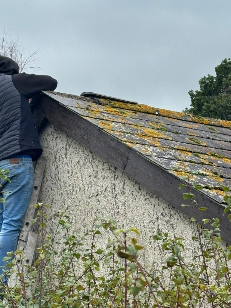 roof repairs Abergavenny